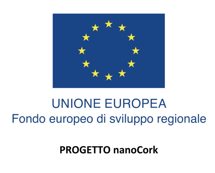 Progetto nanoCork